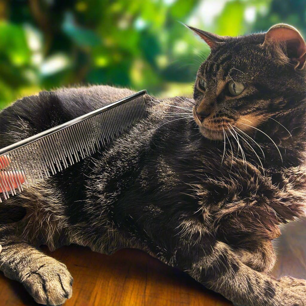 Warren London Carding Cat Comb dual-action bristles in use; detangling and debris control