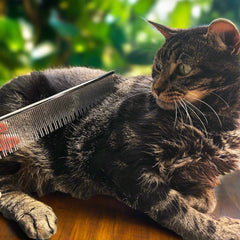 Warren London Carding Cat Comb dual-action bristles in use; detangling and debris control