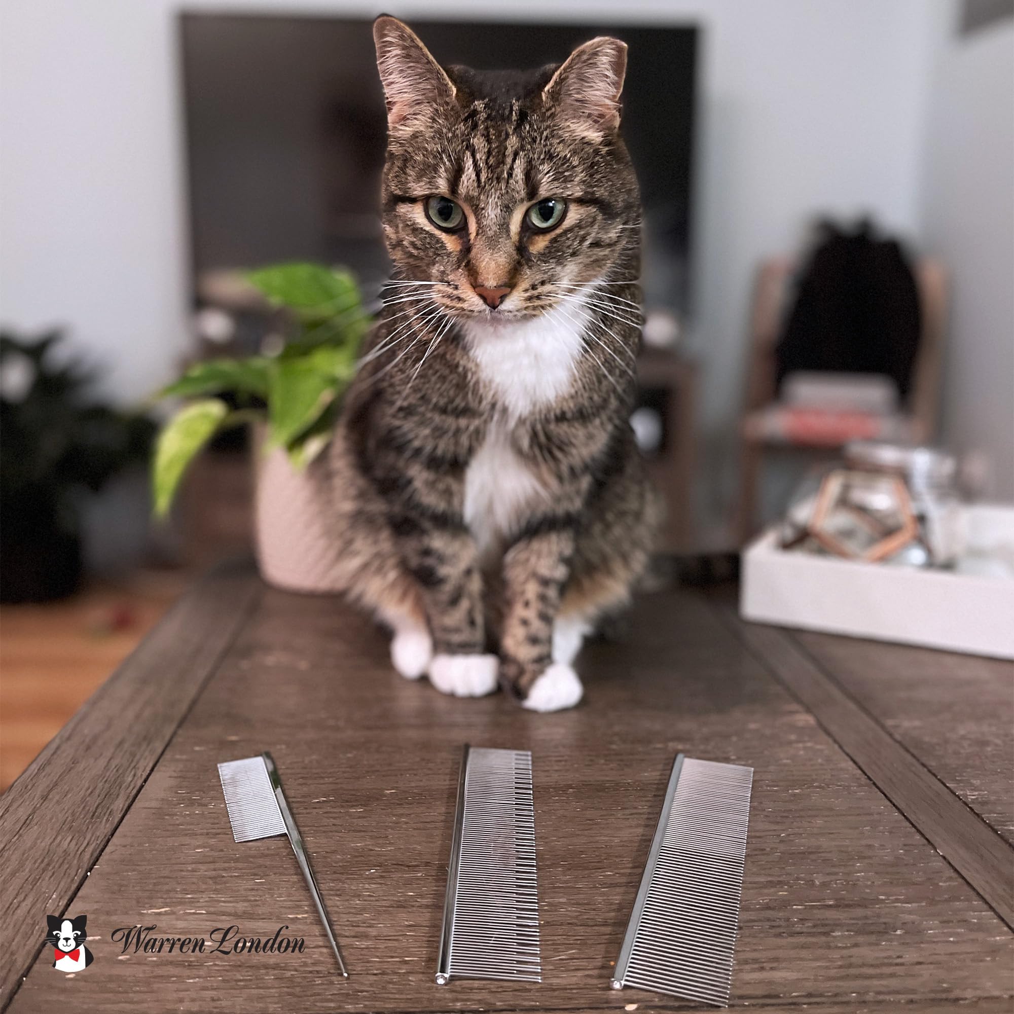 Warren London Carding Cat Comb in use on short-haired cat; easy daily grooming