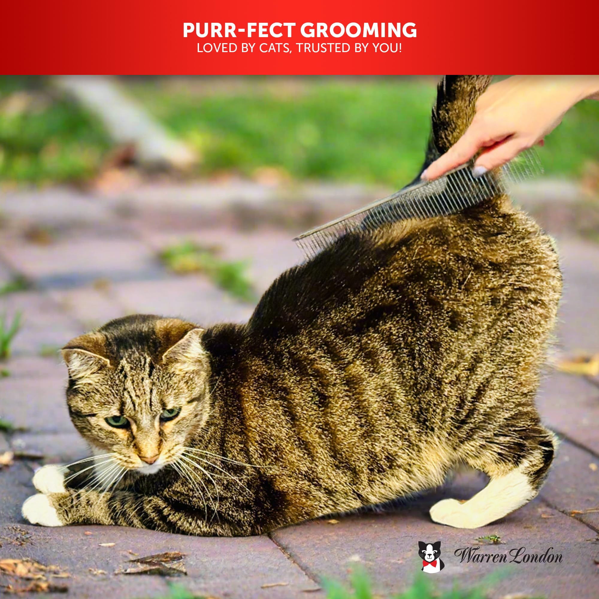 Warren London Cat DeMatter Pro Max anti-static copper teeth for smoother coats.