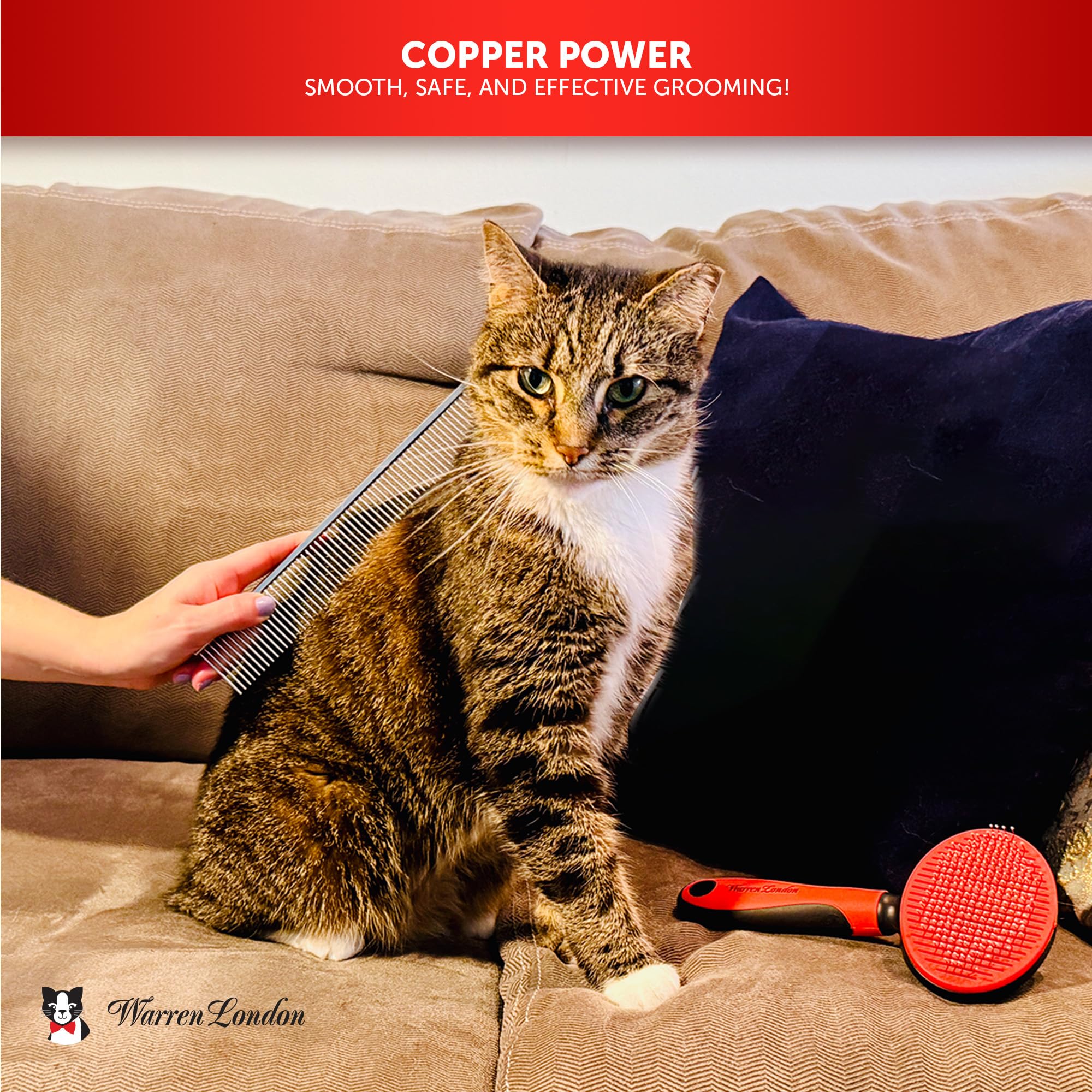 Warren London Cat DeMatter Pro Max used on a long-haired cat for detangling.