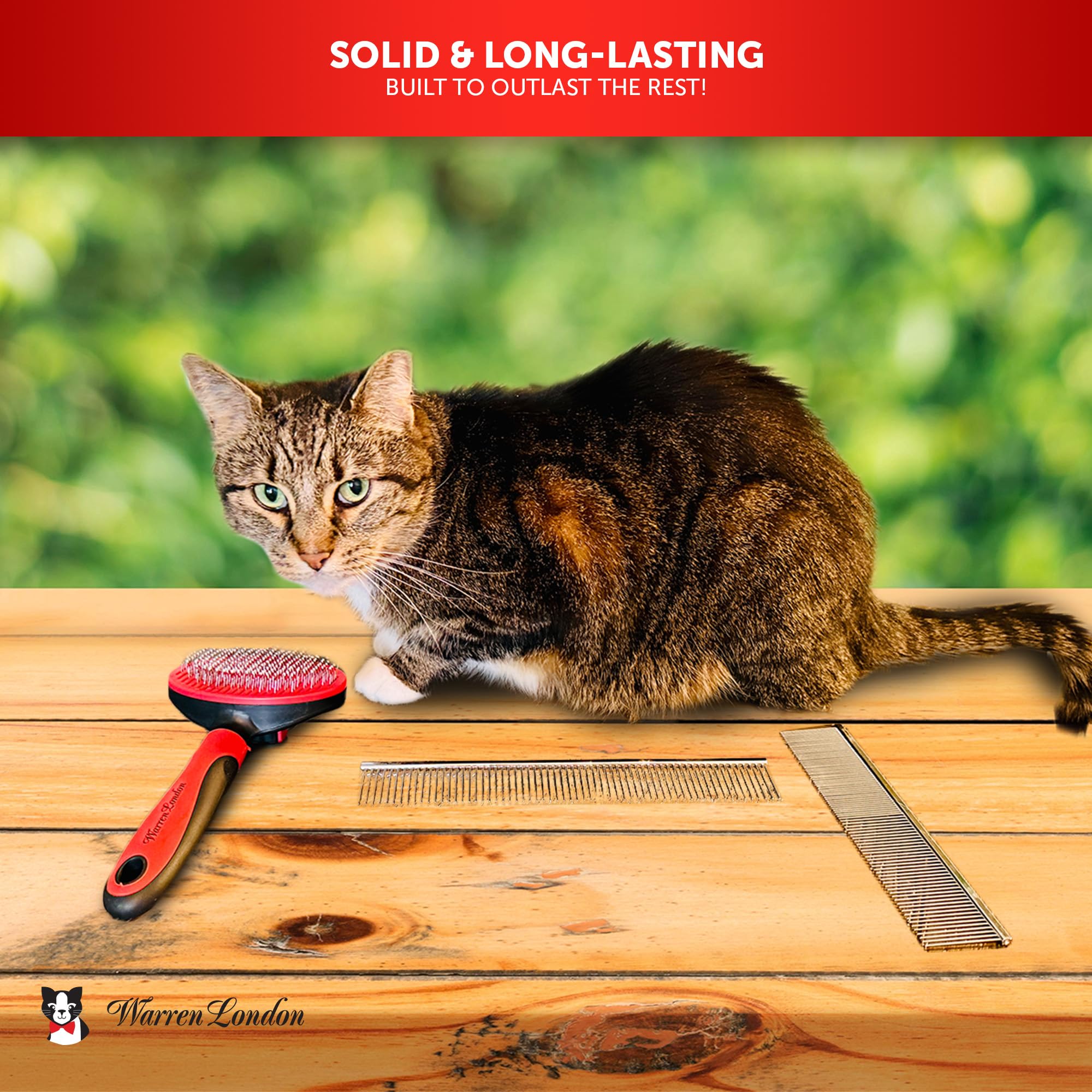 Warren London Cat DeMatter Pro Max teeth spacing close-up shows detangling action.