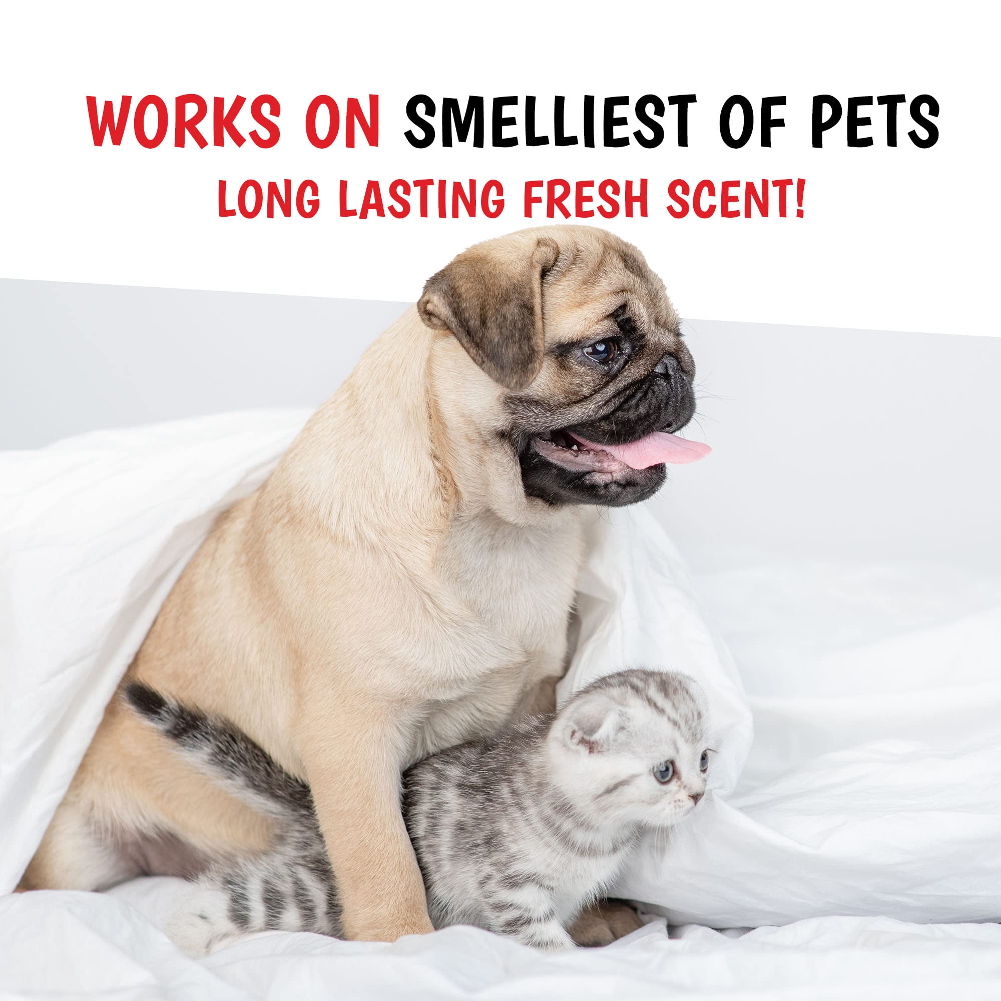 Warren London Wet Kiss cat coat application for gentle post-walk refresh.