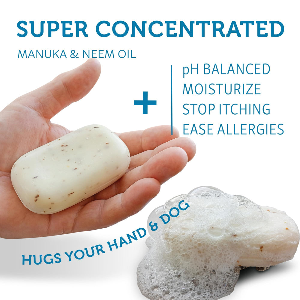 WashBar pH-balanced formula suitable for all coat lengths.