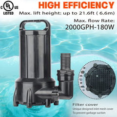 WaterRebirth PB2000 low water level enables pumping with minimal water presence.