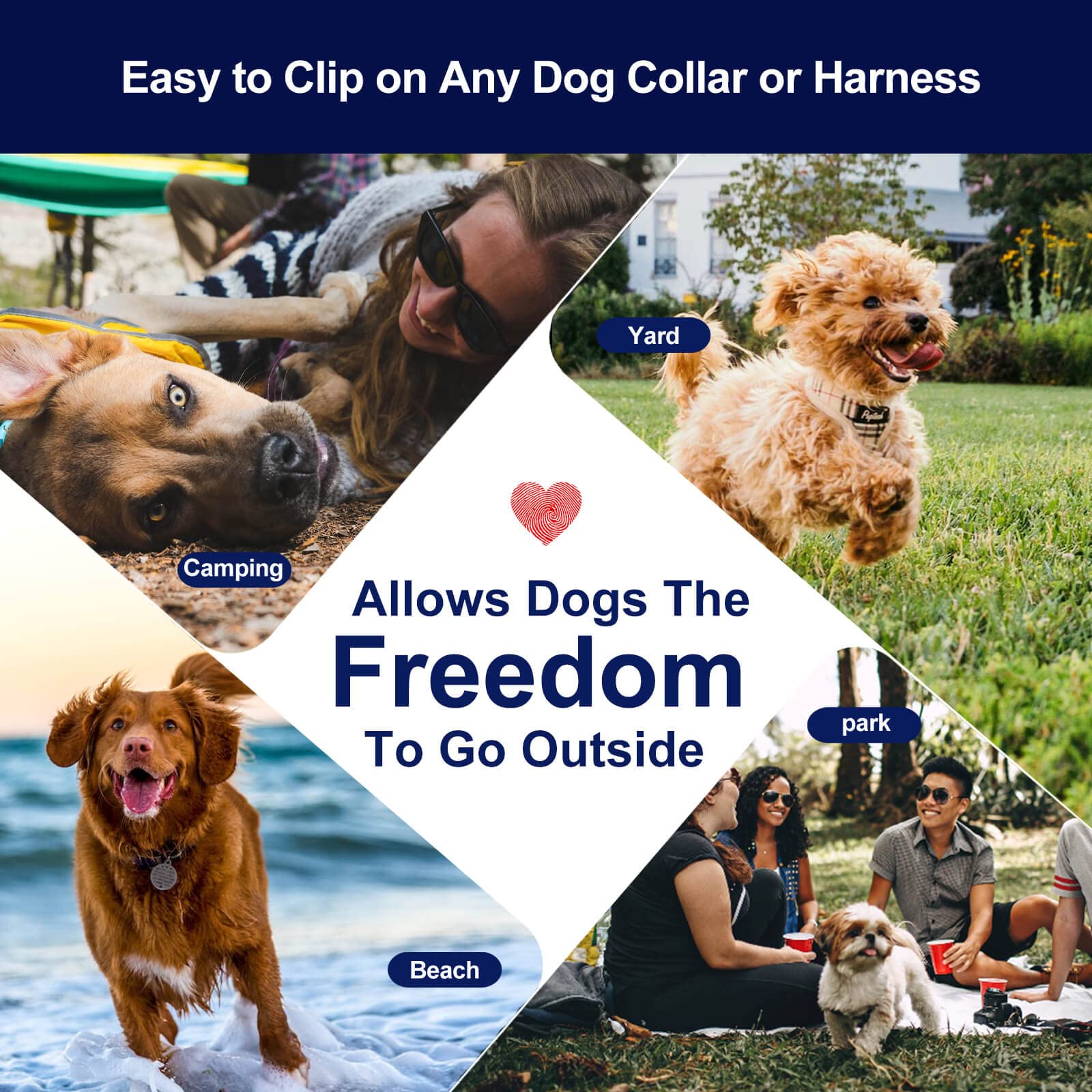 WATFOON daily adventure lead indicates freedom with hands free