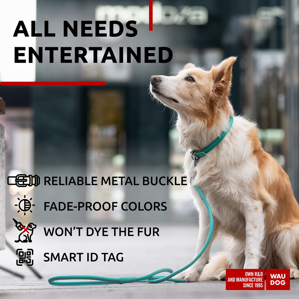 WAUDOG Ultra Soft Rolled Leather Collar adjustable sizes for small to large dogs