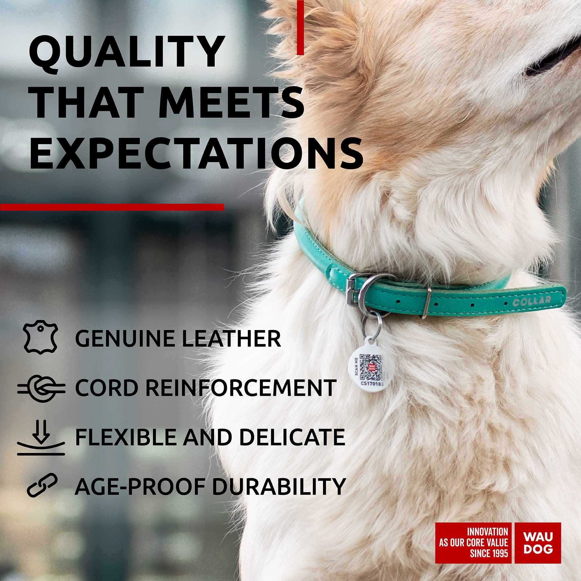 WAUDOG Ultra Soft Rolled Leather Collar in bright designs for family style variety