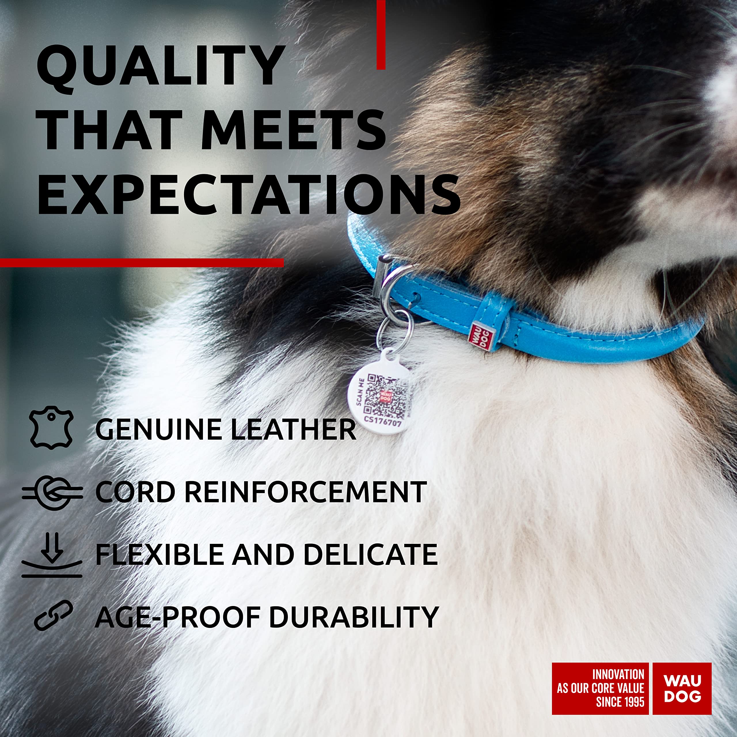 WAUDOG collar with D-ring for easy daily leash attachment