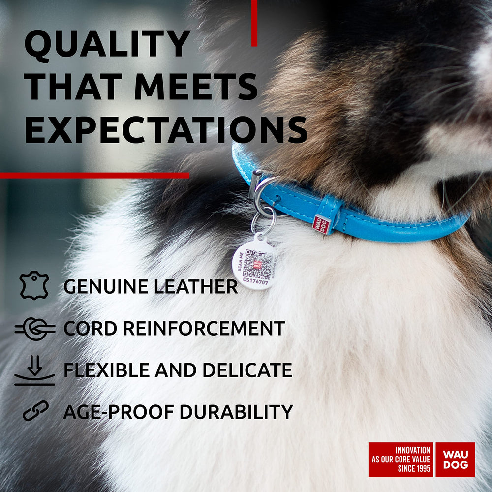 WAUDOG collar with D-ring for easy daily leash attachment