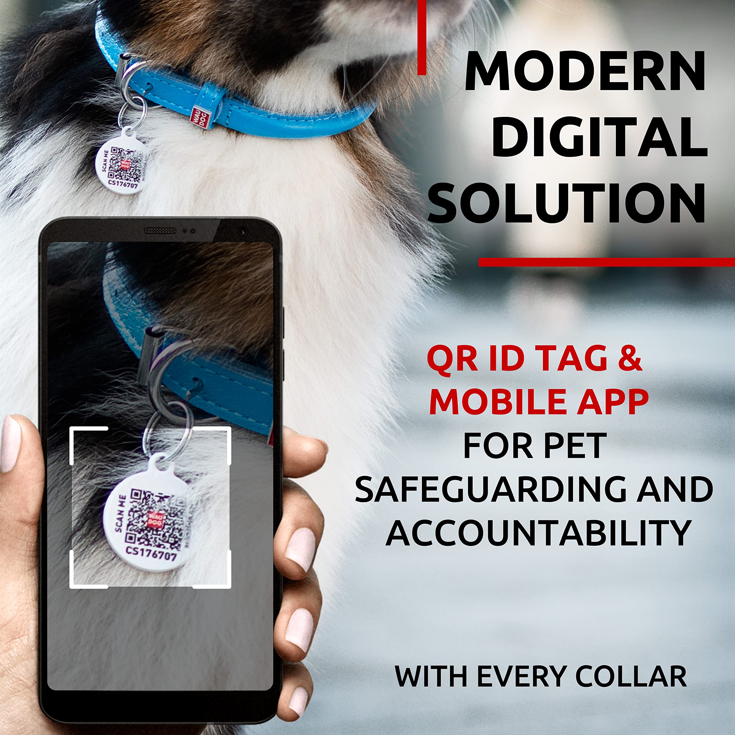 WAUDOG collar with durable metal buckle for outdoor adventures