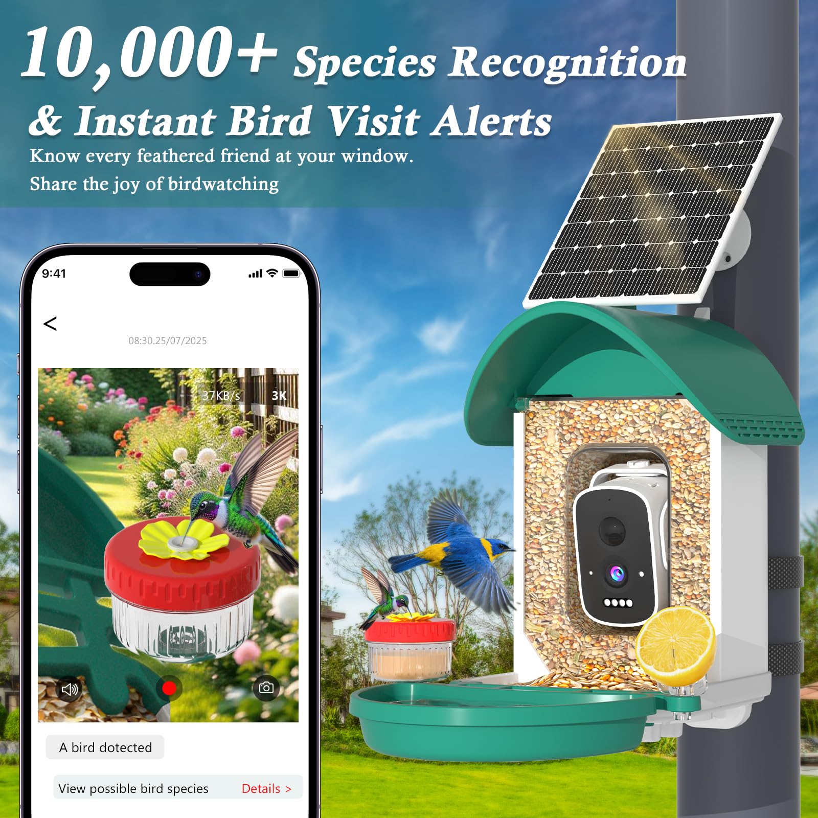 WaveEME AI Identification sample bird recognition in action.