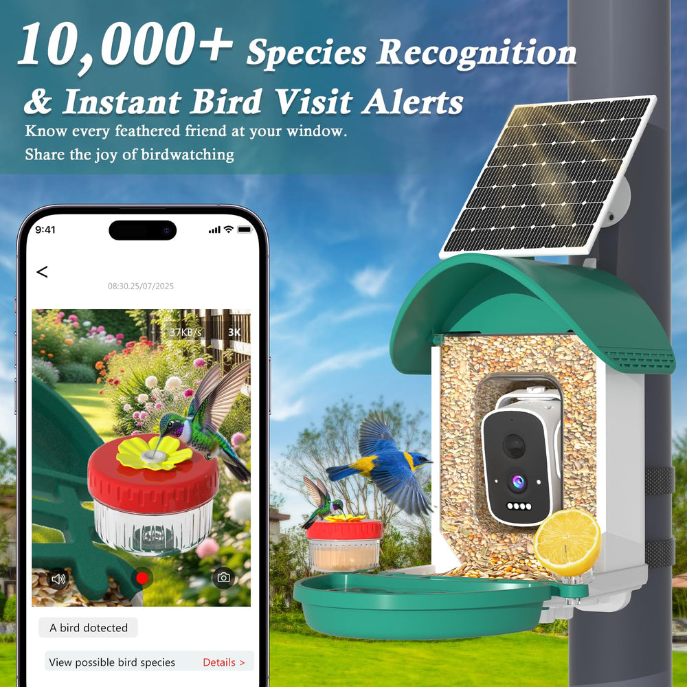 WaveEME AI Identification sample bird recognition in action.