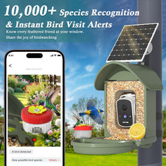 WAVEEME bird feeder battery backup enables uninterrupted recording through cloudy days.
