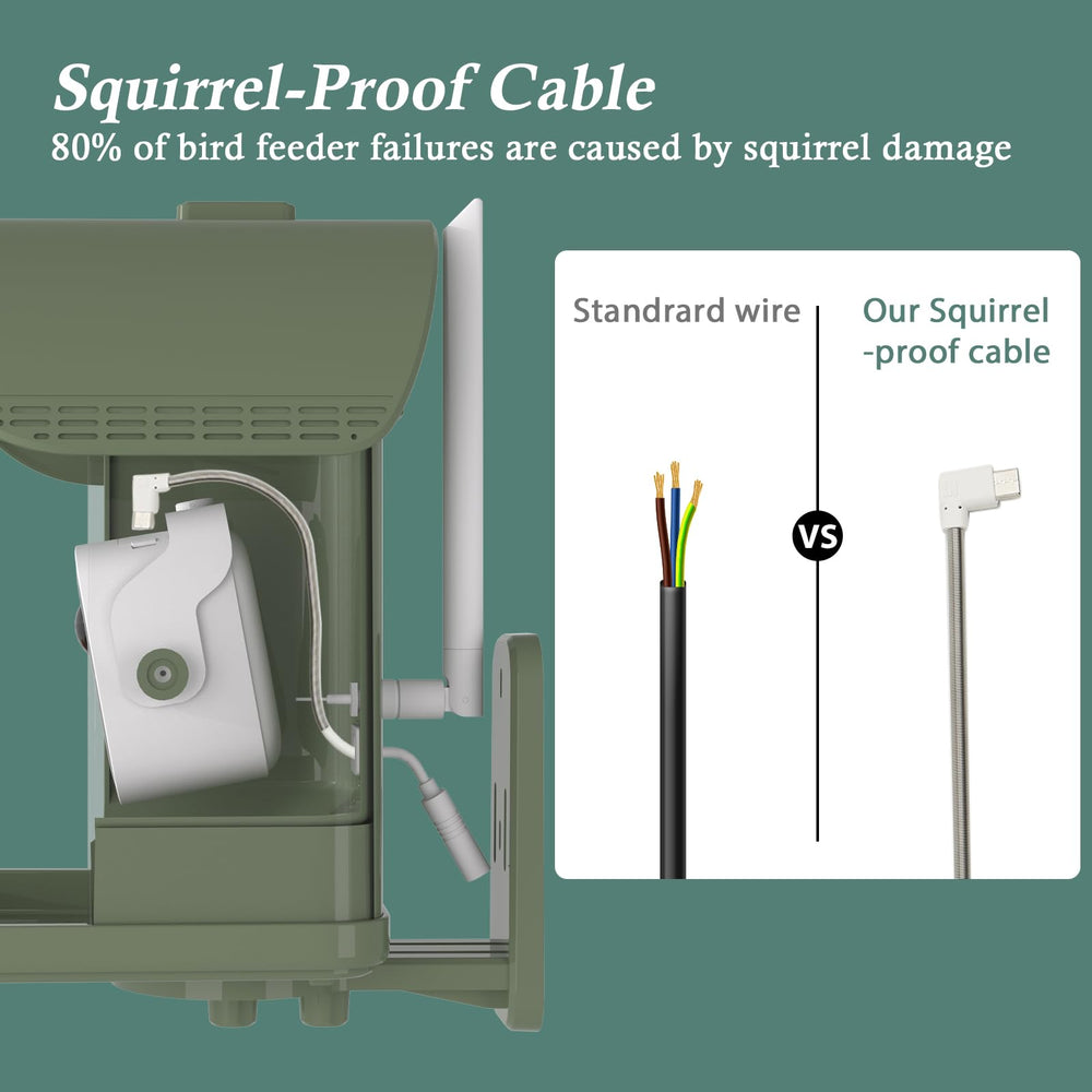 WAVEEME bird feeder camera with squirrel-proof cable protects feeding from rodents.