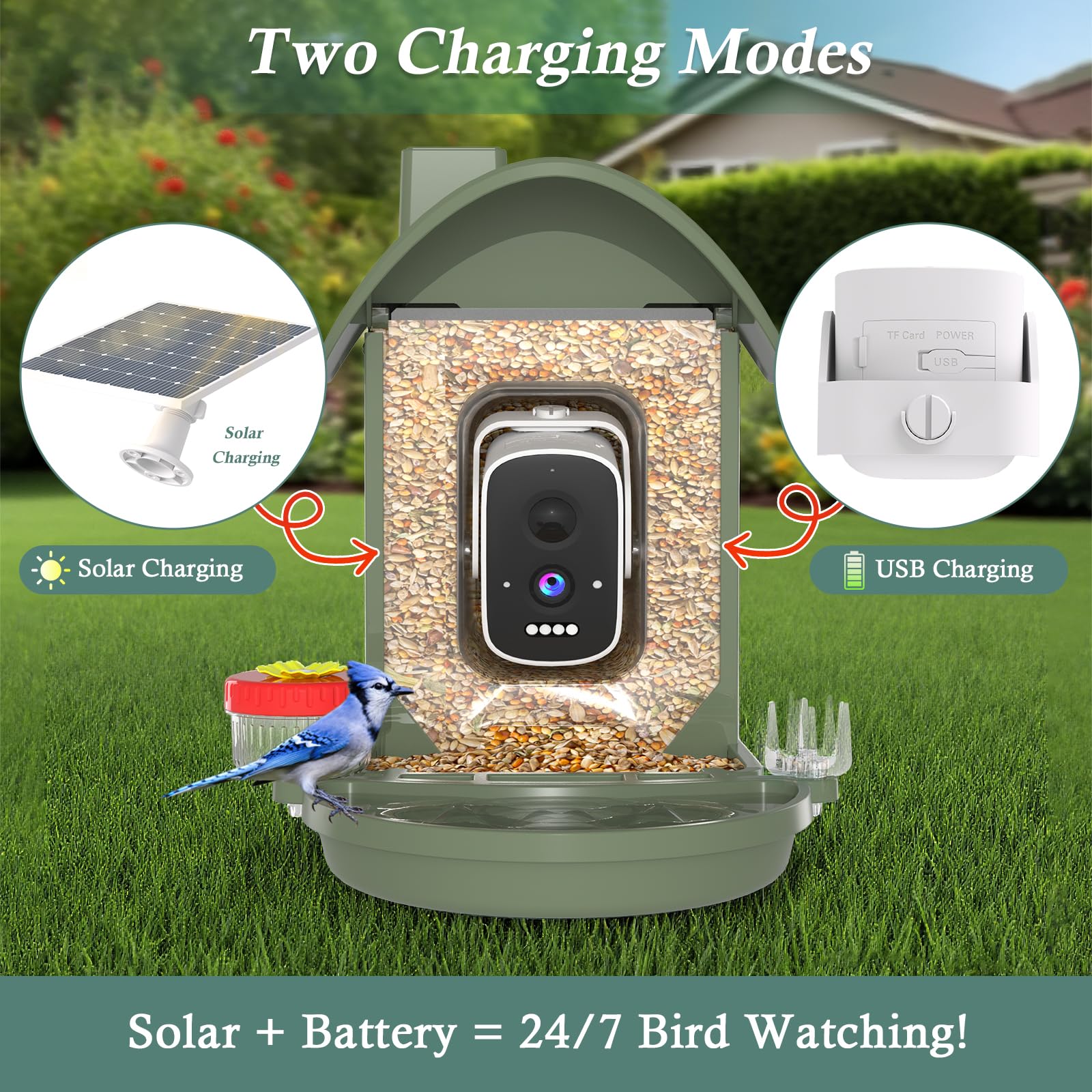 WAVEEME bird feeder wifi app setup enables remote monitoring from anywhere.
