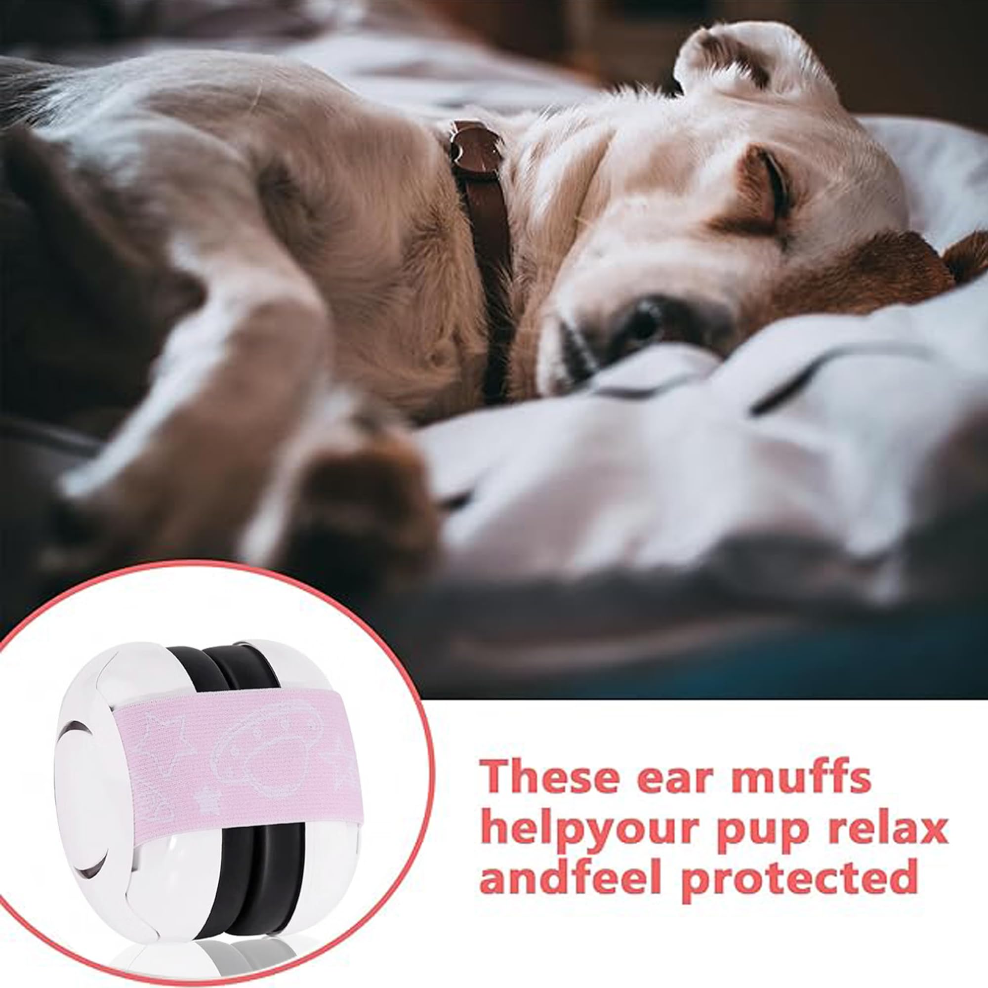 WBHWW cat and dog ear muffs in use showing shared protection