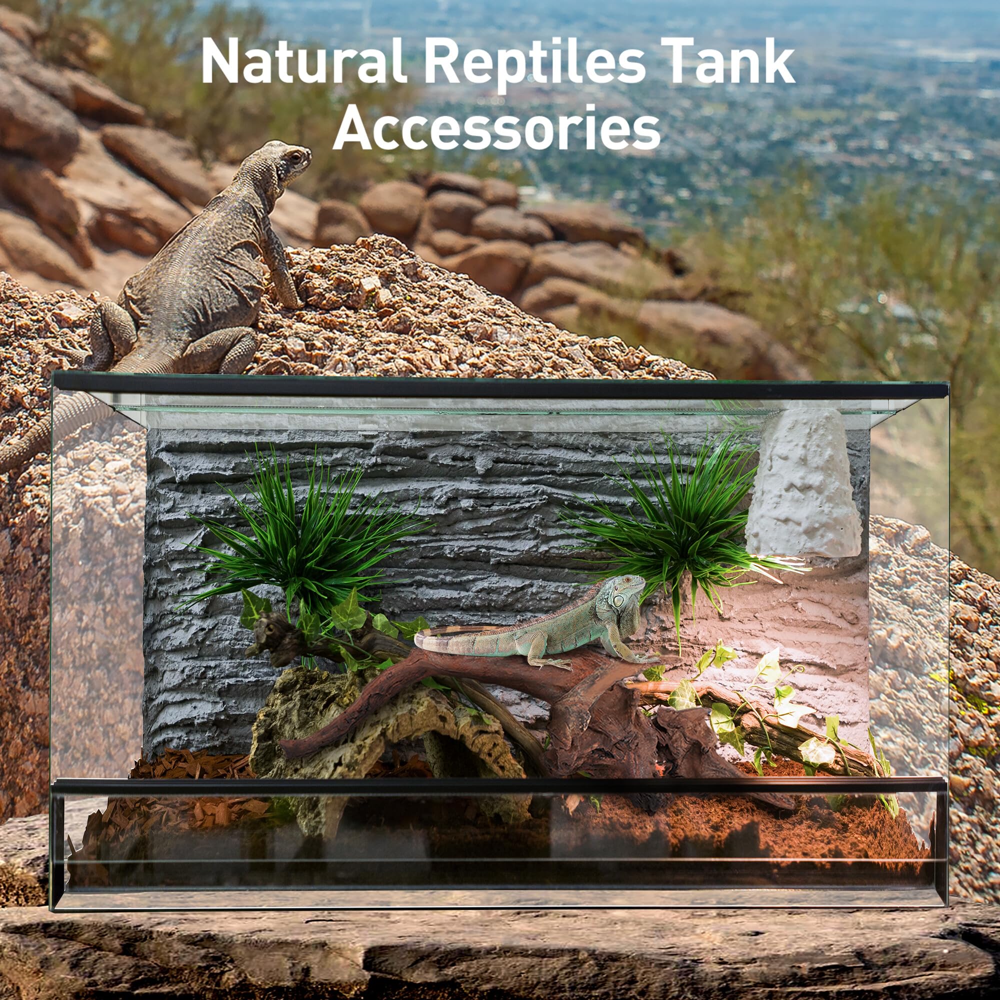 WDEFUN driftwood for air plants enables versatile display and humidity microclimate.