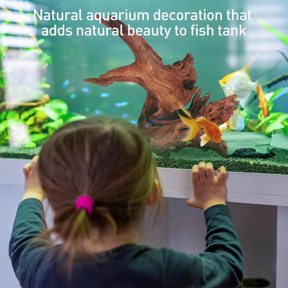 WDEFUN driftwood providing shelter for bettas and shrimp hides.