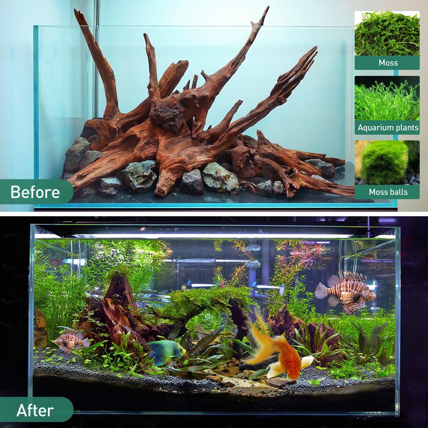 WDEFUN durable natural-wood driftwood suitable for underwater and dry setups.