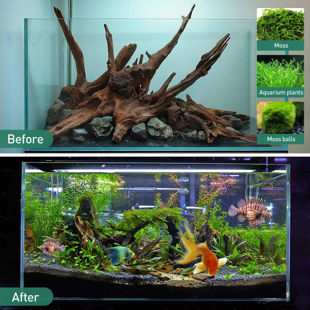 WDEFUN driftwood prep-boiling-soaking guide ensures clean, tannin-free setup.