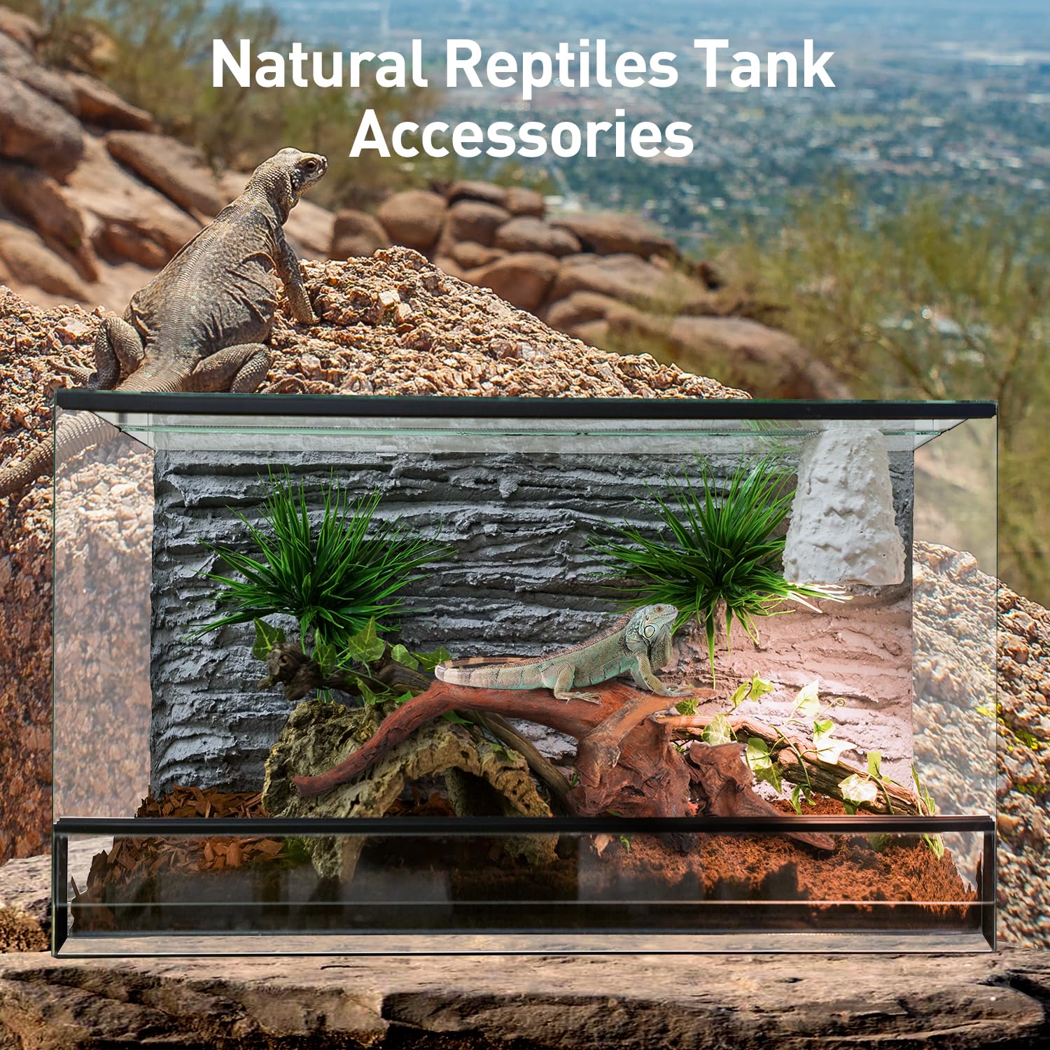 WDEFUN driftwood preparation: boil and soak to remove tannins steps.