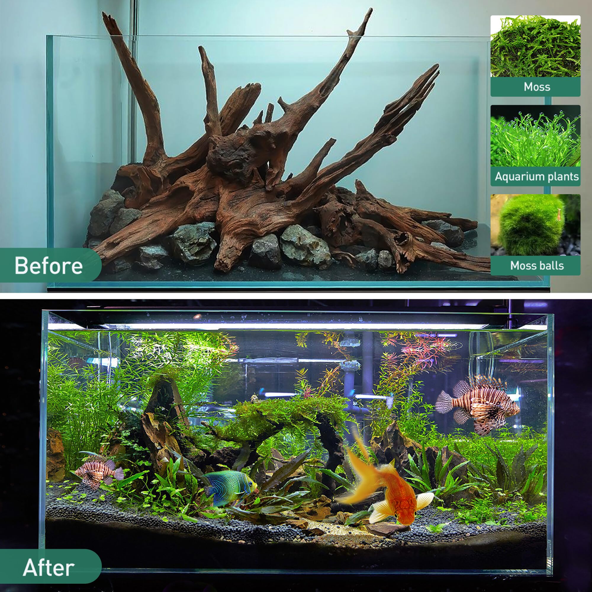 WDEFUN natural driftwood close-up shows unique shapes for realistic tank scenes.