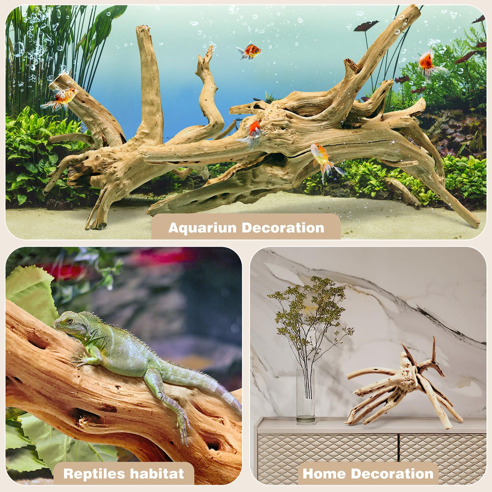 WDEFUN Spiderwood 10-inch branch supports burrowing habitats and decorative aquascapes