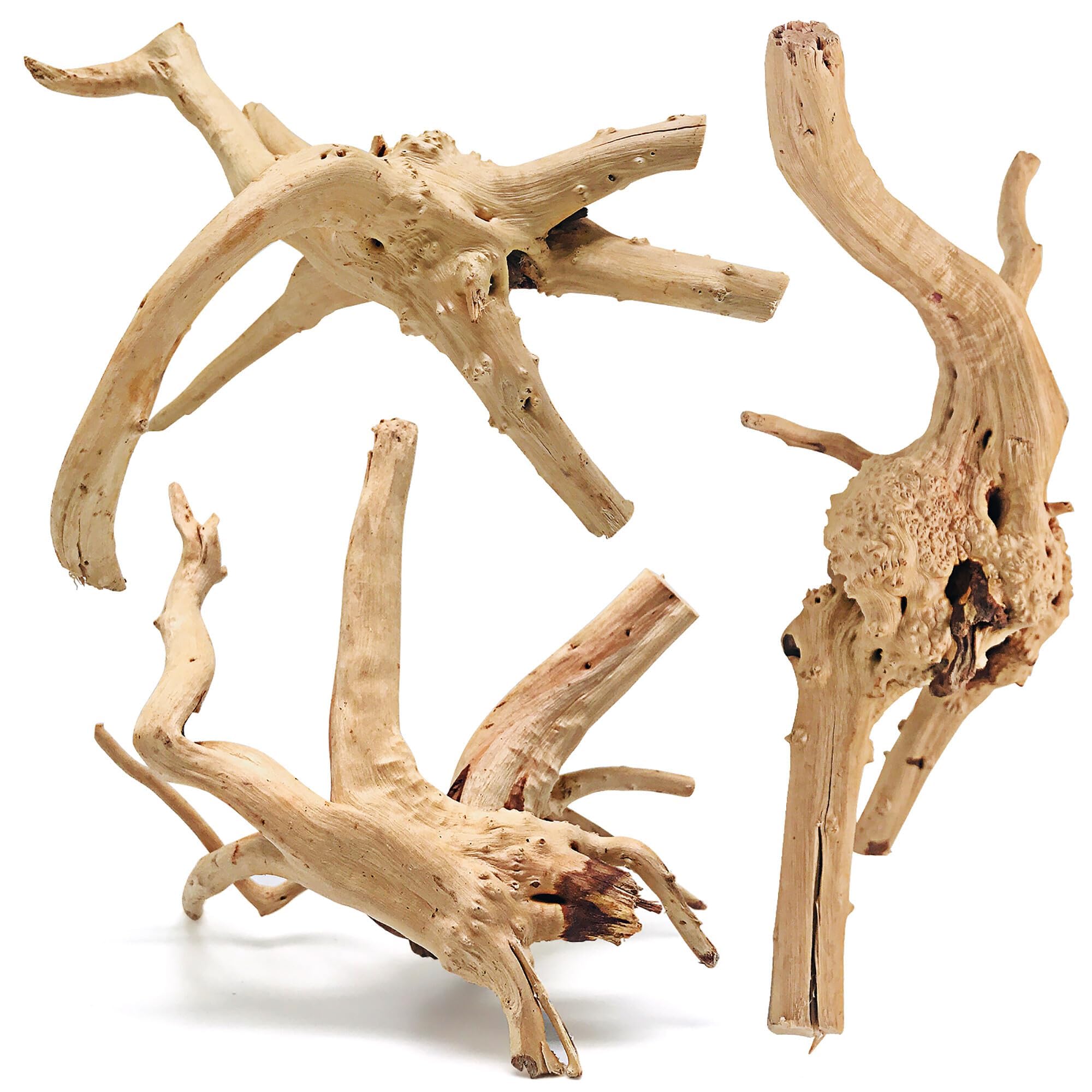 WDEFUN Spiderwood 7-inch branch enhances natural aquarium decor with hiding spots