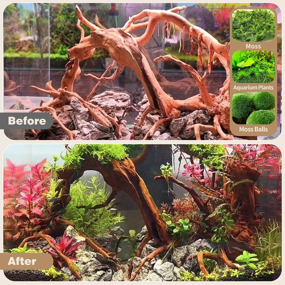 WDEFUN Spiderwood aquarium-landscape helps Betta and Shrimp thrive with hides