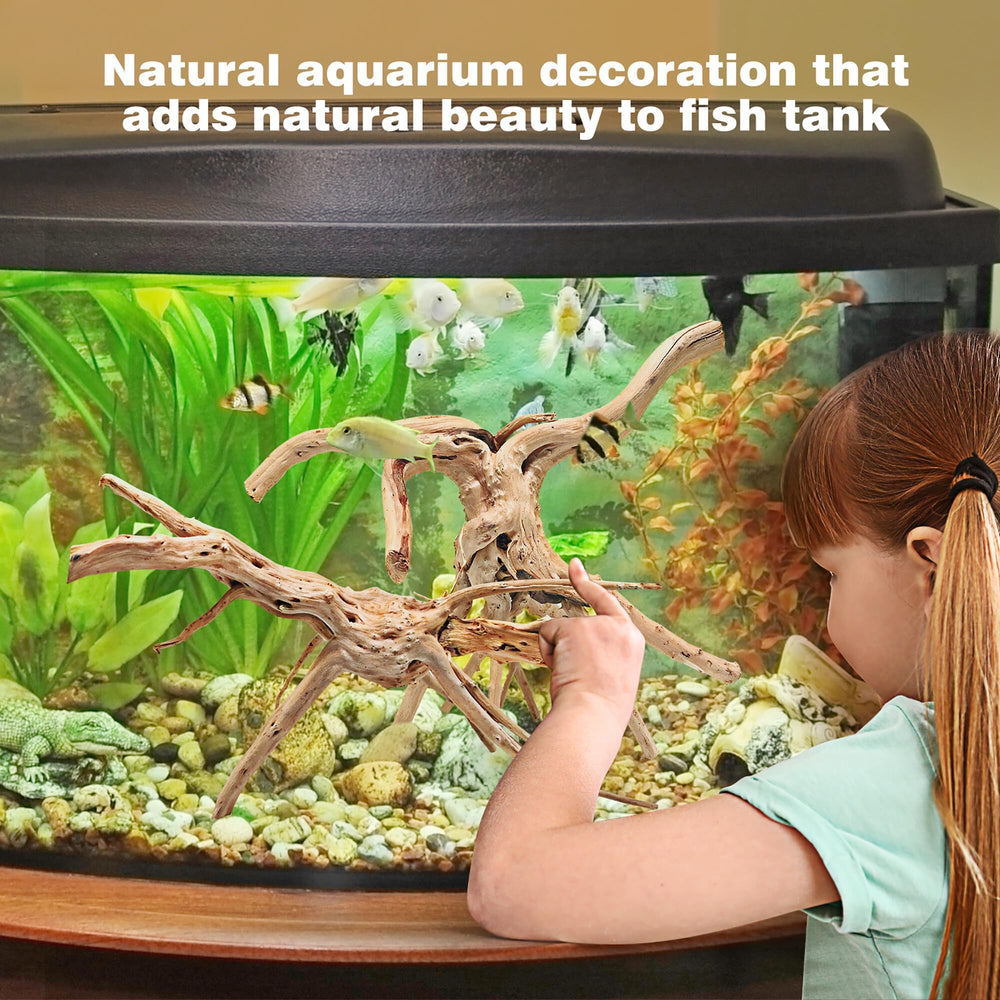 WDEFUN spiderwood betta hide shows secure shelter within plant-inspired setup.