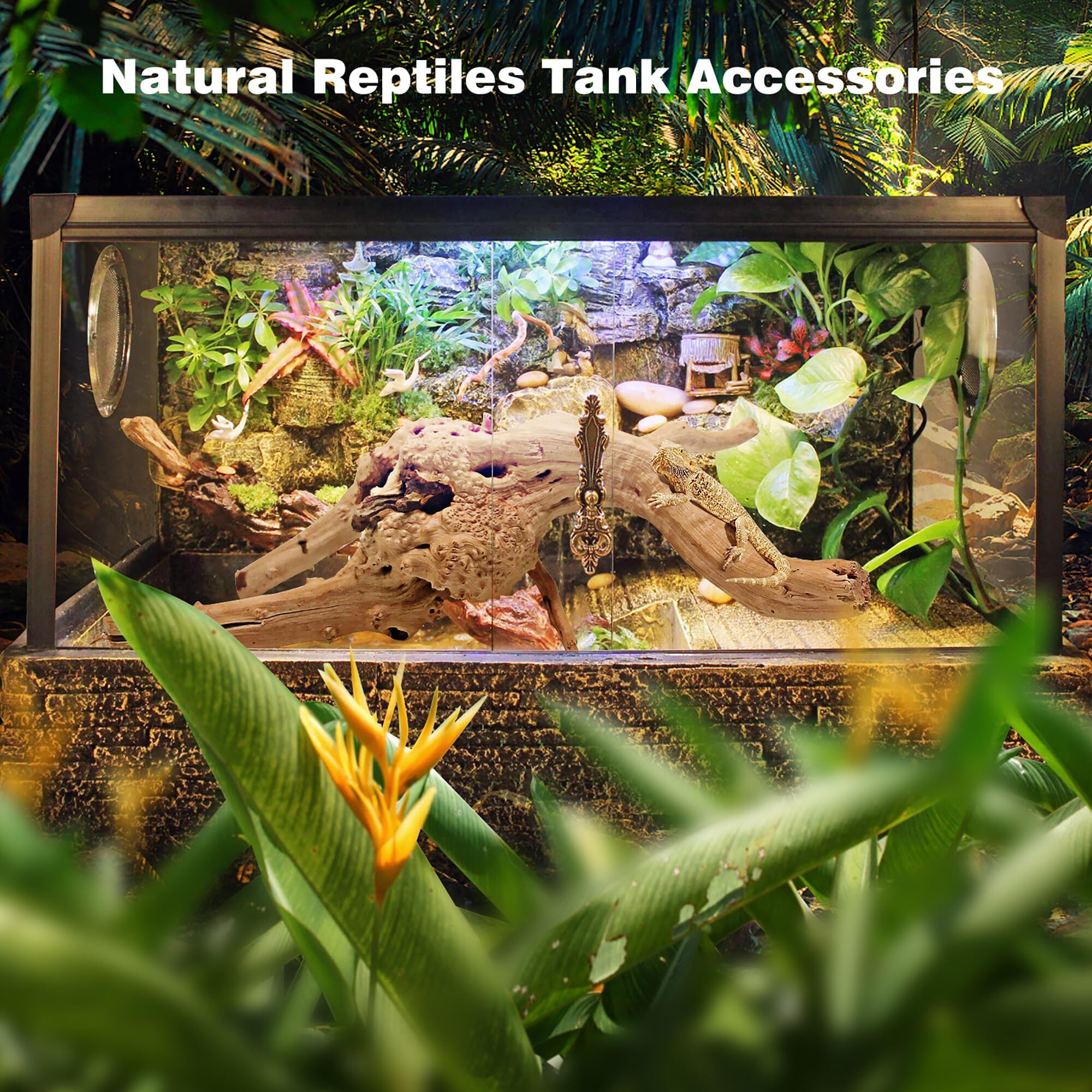 WDEFUN spiderwood shrimp habitat invites exploration and grazing in tanks.