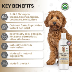 We Love Doodles champú avena para perro - aplicación cómoda en la mano.
