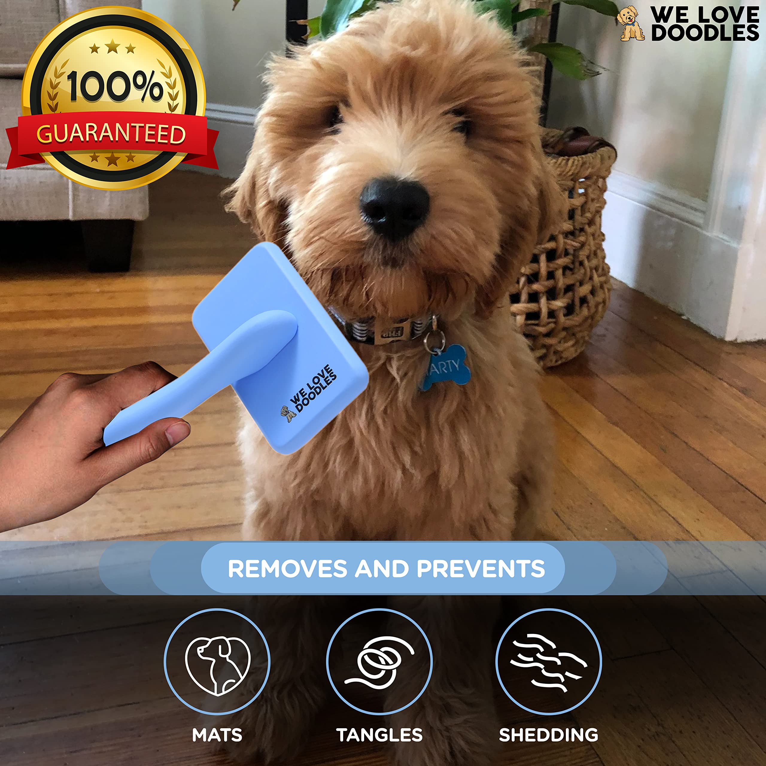We Love Doodles slicker brush long pins visible for deeper, smoother brushing through dense coats
