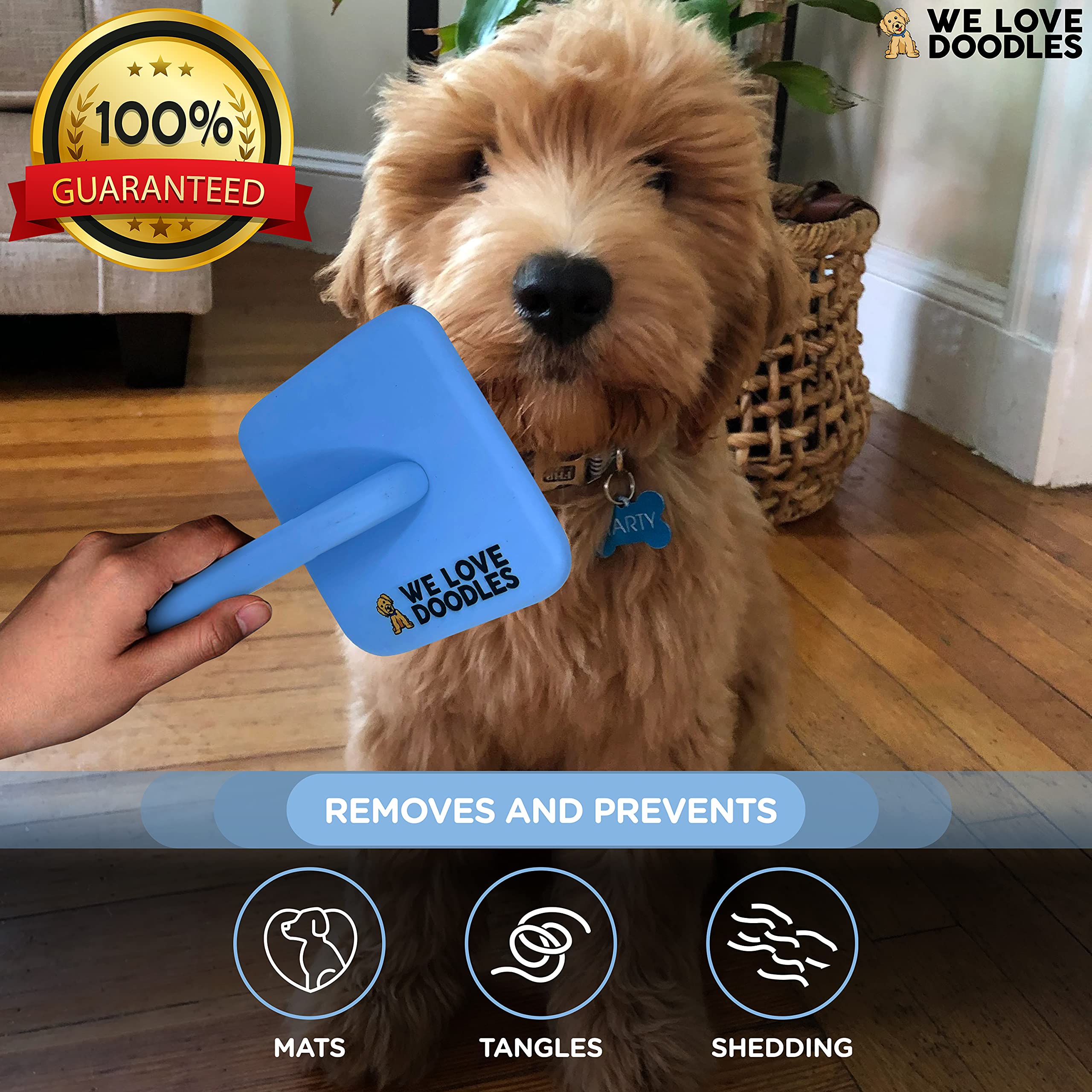We Love Doodles Slicker Brush ideal for poodle curly coats and doodle blends.