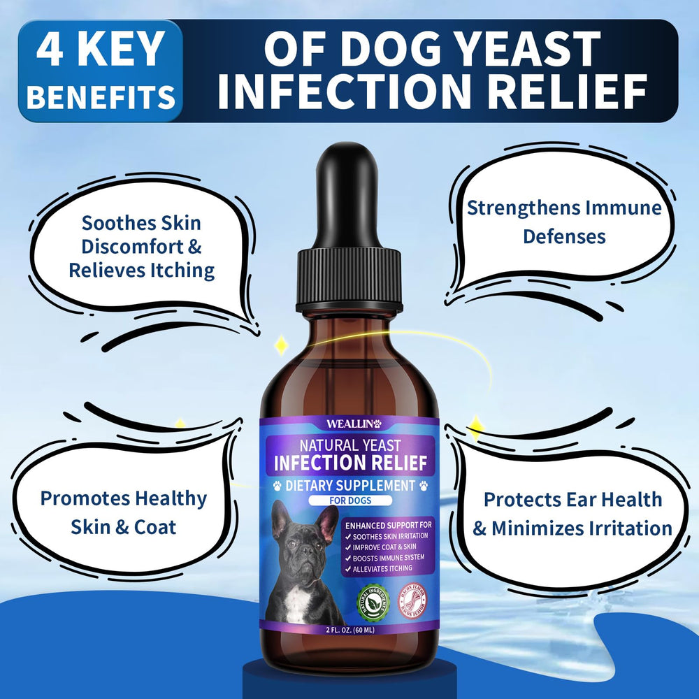 WEALLIN 8-herbal-blend drops — probiotic-powered support for skin and ears.
