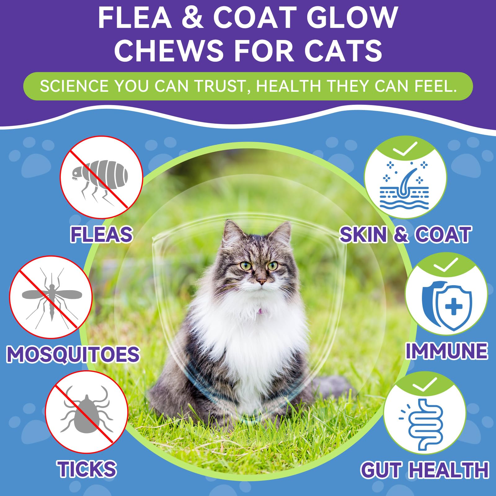 WEALLIN cat formula with salmon-oil and flaxseed supports glossy coat.