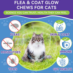 WEALLIN cat formula with salmon-oil and flaxseed supports glossy coat.