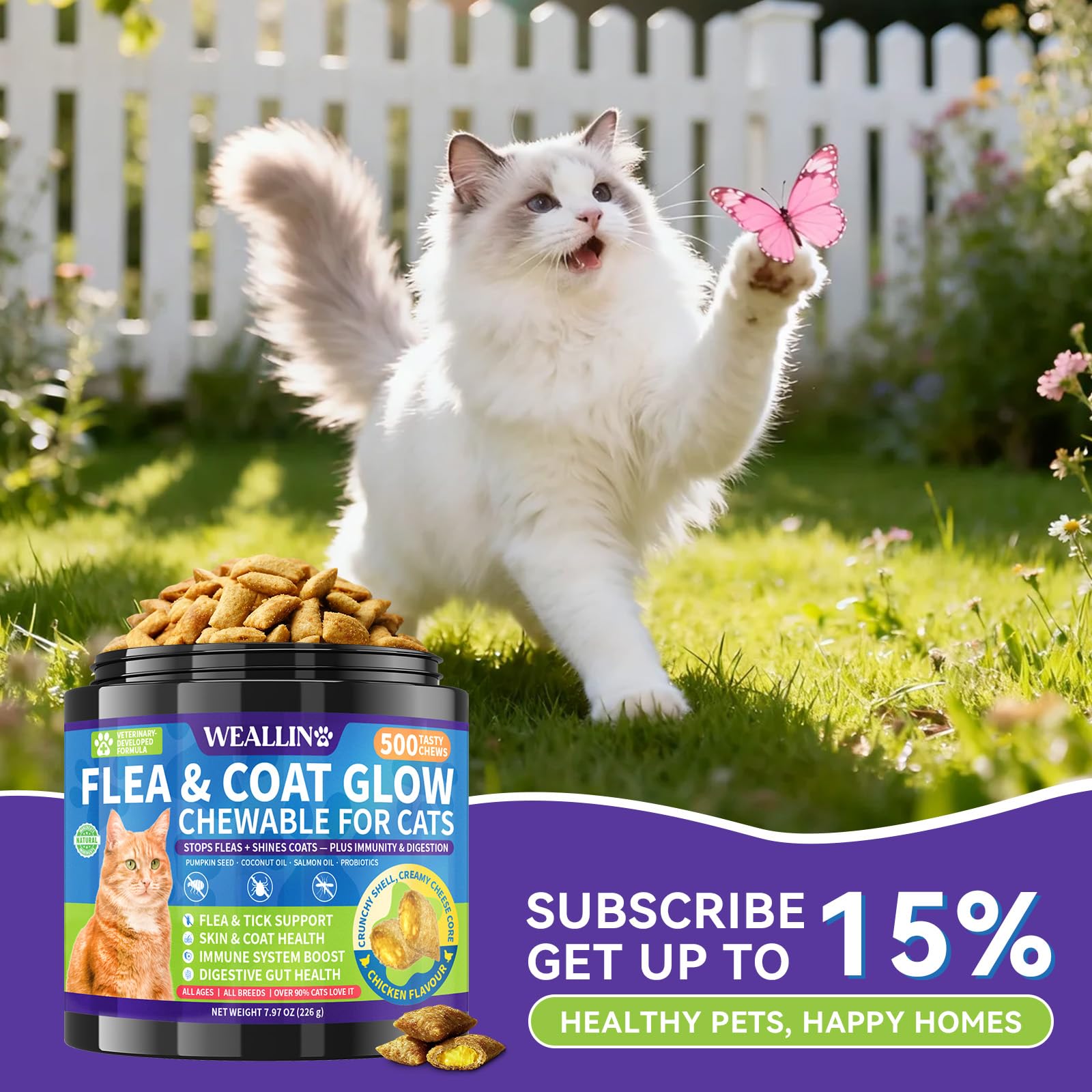 WEALLIN cat-jar holding 500 crunchy-creamy chews provides long-lasting value.