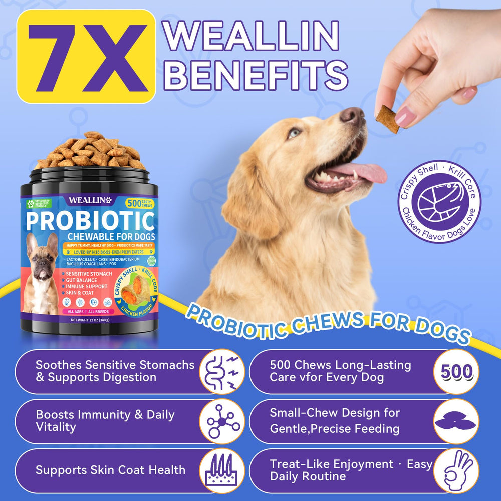 WEALLIN probiotic chews with crunchy shell and chicken flavor aid picky-eater meals.