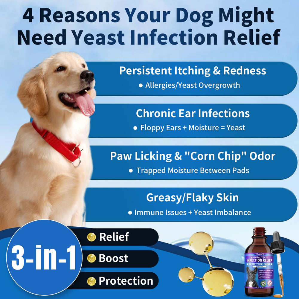 WEALLIN dog yeast drops dropper-measure — easy dosing for consistent daily use.