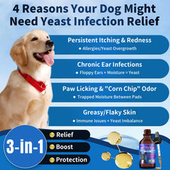 WEALLIN dog yeast drops dropper-measure — easy dosing for consistent daily use.