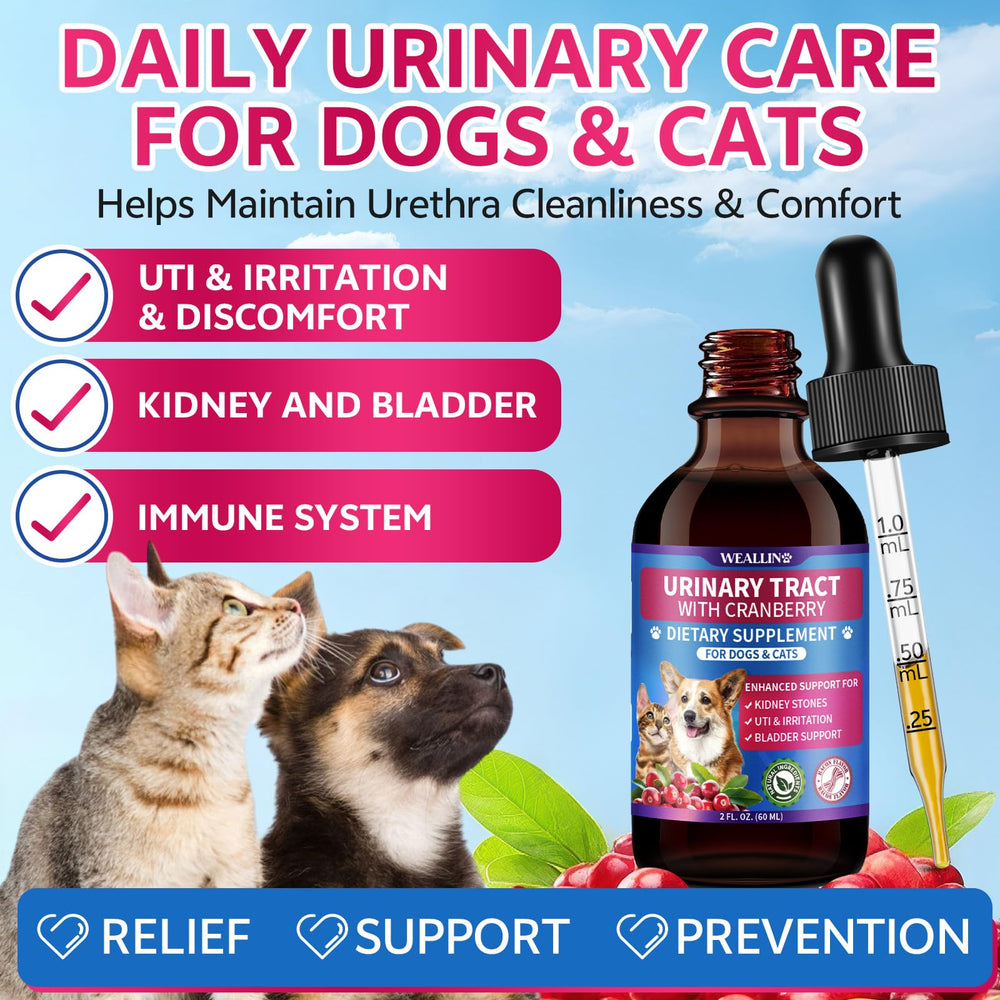 WEALLIN-liquid-pet-supplement-drops pictured, easy to dose and mix into food or water.