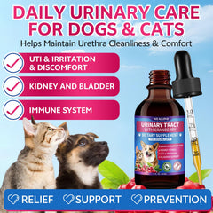 WEALLIN-liquid-pet-supplement-drops pictured, easy to dose and mix into food or water.