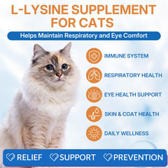 WEALLIN L-lysine drops for cats showing precise dosing for immune support.