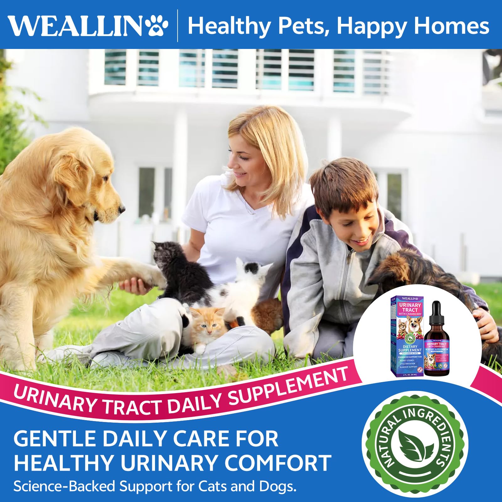 WEALLIN-natural-ingredients-couch-grass-marshmallow-root showcases gentle botanical comfort.