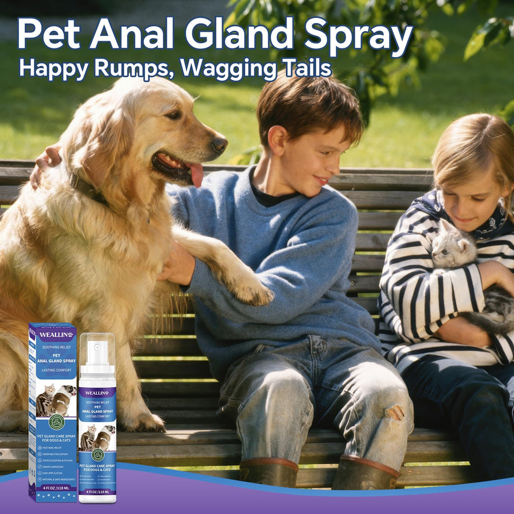 WEALLIN spray as essential pet first-aid item for relief.