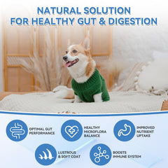 WEALLIN skin-relief dog probiotic closeup suggests itch relief and healthier coat.