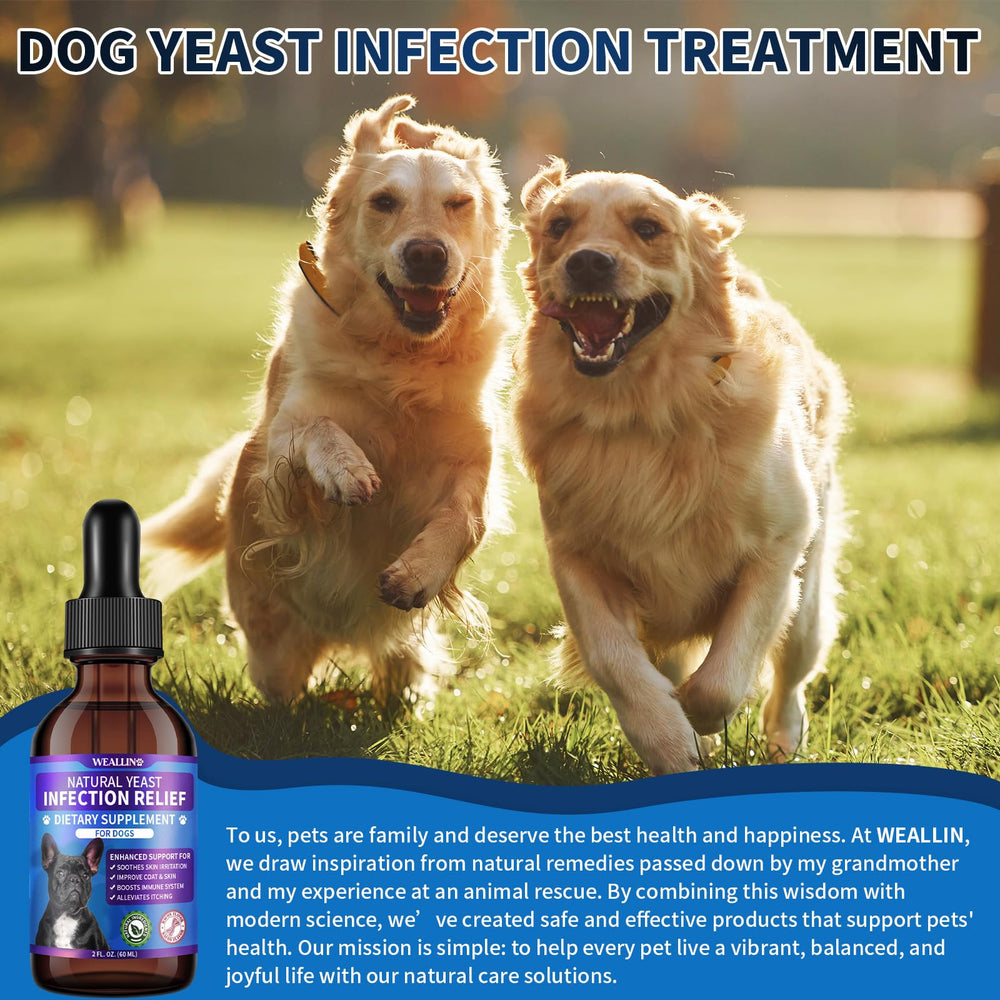WEALLIN vet-trusted quality — trusted pet health routine.