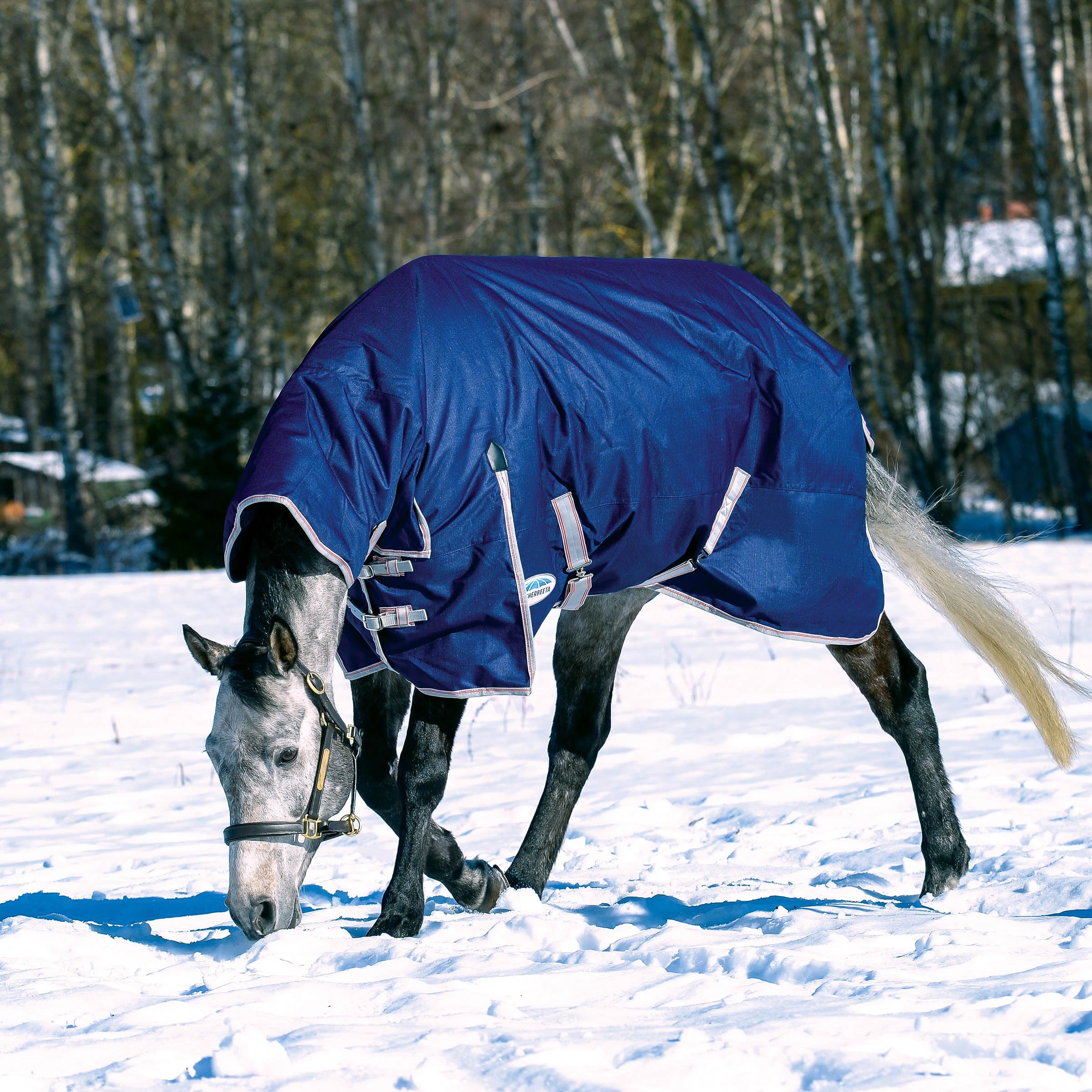 WeatherBeeta ComFiTec Essential back view shows robust rug providing dependable protection